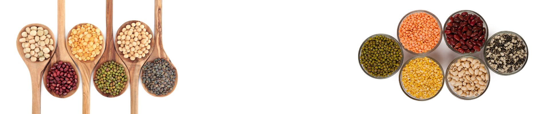 industry we serve banner